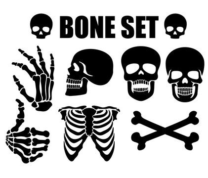 vector icon flat, skeleton, stencil