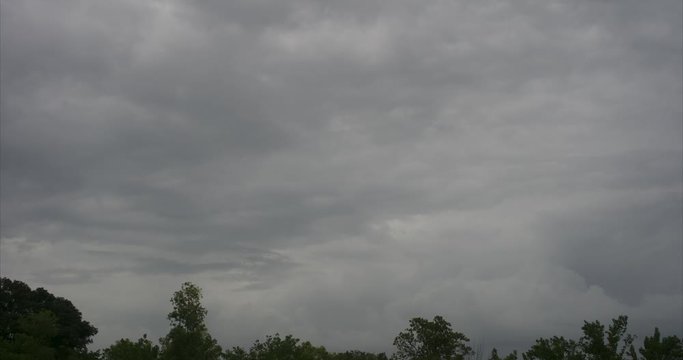 timelaps of cloudes with moving trees.