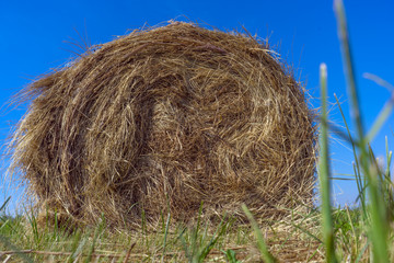 Haystack. Hay bale on green lush grass against a blue sky. Harvesting hay, dry grass