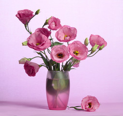 Delicate bouquet of pink eustoma flowers in a glass vase on a pink background