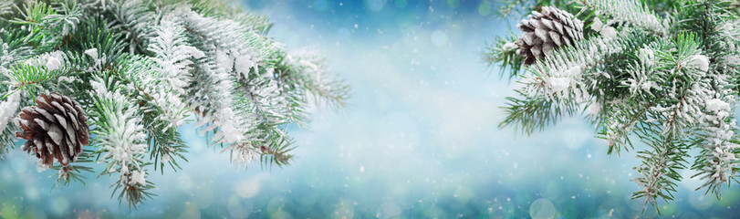 Fototapeta na wymiar Christmas and New Year background. Snowy fir tree branches on blurred background with christmas lights