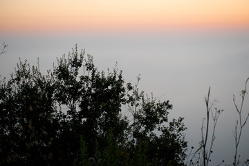 Sunset ocean horizon sky clouds sunset landscape