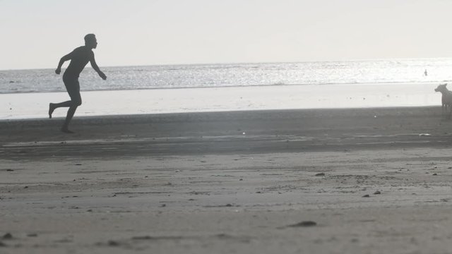 Silhouette Of Man Running On A Beach Pretending To Throw Something At Stray Dog To Shoo Away Slow Motion