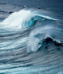 wave hokusai from Reunion island