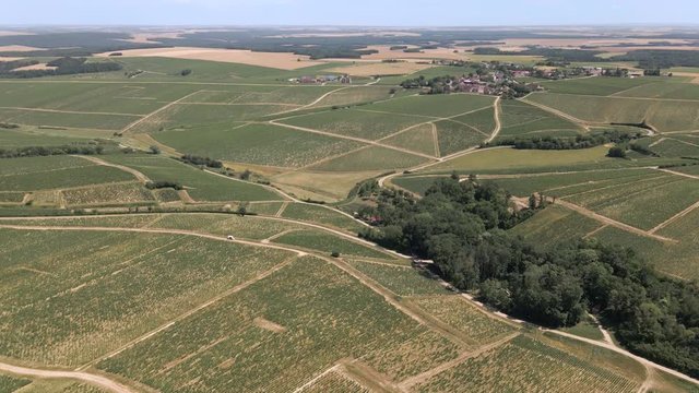 Pedestal shot of the vineyards in the Chablis, France area with tiny villages and fields in the background
