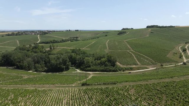 Aerial view of the vineyard in the Chablis, France area with tiny village in the background