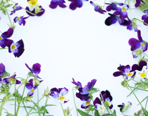 Naklejka na ściany i meble Round Frame with flowers and leaves. Top view background with pansy flowers. Flowers composition. Mock up with plants. Flat lay with flowers on white table. Woman day concept. Copyspace for text.