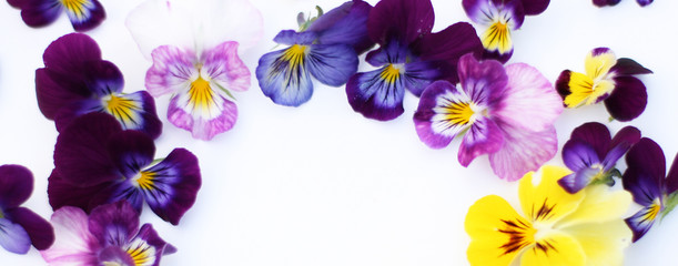 Round Frame with flowers and leaves. Top view background with pansy flowers. Flowers composition. Mock up with plants. Flat lay with flowers on white table. Banner size. Copyspace for text.