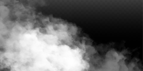Fog or smoke isolated transparent special effect. White vector cloudiness, mist or smog background. Vector illustration