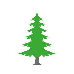 fir tree, cartoon vector illustration