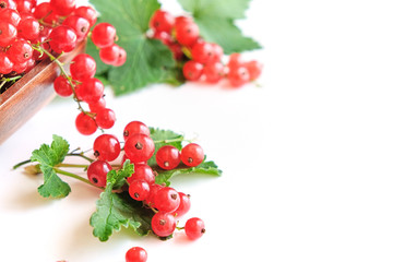 fresh red currant in a wooden bowl isolated on white background. summer harvest of vitamins.
