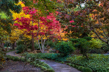 Footpath in the beautiful Japanese garden in autumn park. Location place is Ashland, Oregon