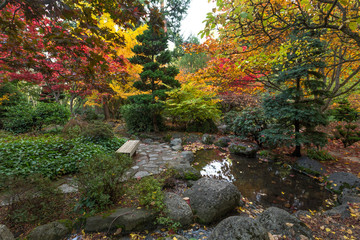 Japanese garden bright autumn colors. Lithia park, Ashland, Oregon