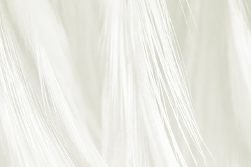 Obraz premium Beautiful white feather wooly pattern texture background