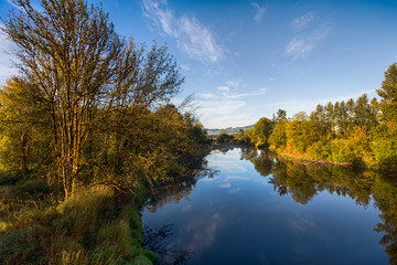 River landscape in sunny autumn morning. Chehalis river in Washington, USA