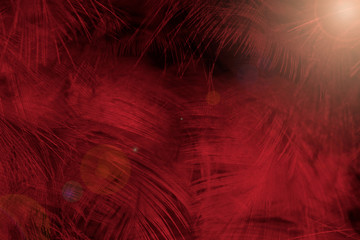 red feather pattern texture background  with flare light