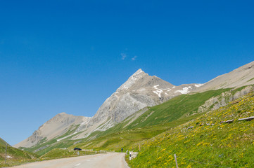 Fototapeta premium Albula, Albulapass, Passstrasse, Bergstrasse, Albulapass, Passhöhe, Park Ela, Bergün, Wanderweg, Graubünden, Engadin, La Punt Chamues-ch, Alpen, Sommer, Schweiz