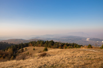 Hills of Nagy-Séznás, a Hungarian mountain just before sunset, with lots of yellow grass everywhere,