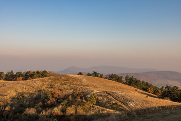 Hills of Nagy-S&eacute;zn&aacute;s, a Hungarian mountain just before sunset, with lots of yellow grass everywhere,