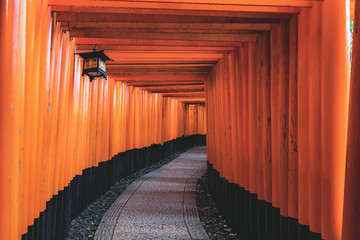 Toji Temple, Kyoto