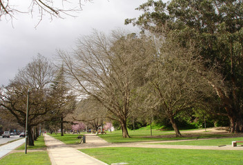 
city ​​park, mountain trees and streets Concepcion Chile