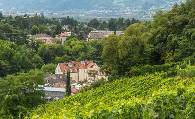 Merano (Meran) in South Tyrol - Trentino Alto Adige - northern Italy.  top view of the historic houses of the old city