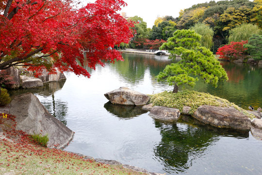 285 Best 紅葉風景 Images Stock Photos Vectors Adobe Stock