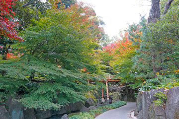 名古屋徳川園の紅葉風景
