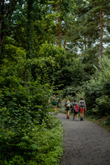 Obraz premium Kinder wandern auf kleiner Strasse durch europäischen, grünen, Wald