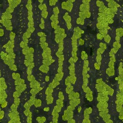 green leaf background pattern