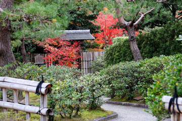 Fototapeta na wymiar 名古屋徳川園の紅葉風景
