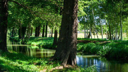 Kanal im Spreewald im Sommer