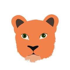 Single cute cartoon lion, leo head. Vector flat illustration isolated on white. Element design for kids, print, pattern, card, poster, web, app