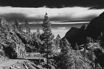  Gran Canaria's mountains and a hiking trail.  Road up to the mountains. Black and white photo.