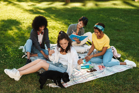 Image of multinational women playing puppy while doing homework in park