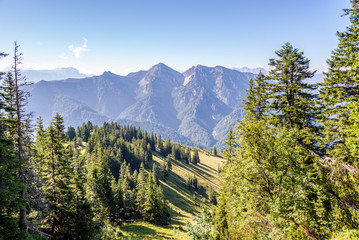 View at Rauchsberg panoramic trail near Ruhpolding - Germany