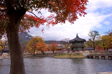 Fototapeta premium The scenery of Autumn colorful park.