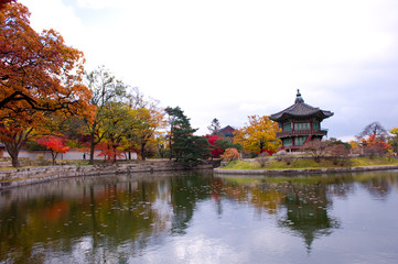 Fototapeta premium The scenery of Autumn colorful park.
