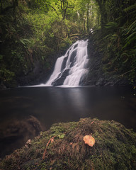 waterfall in the forest