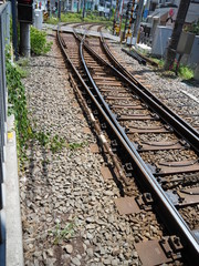 Fototapeta premium 世田谷線の線路