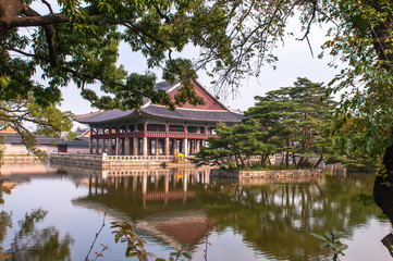The scenery of  summer of green colorful park.