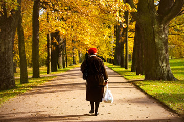 Back view of senior woman walking at Gloden Autumn season with Beautiful romantic alley in a park with colorful trees and sunlight. autumn natural background