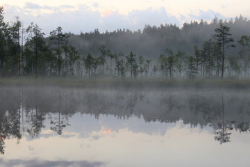 fog over the lake