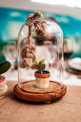 table setting in a restaurant