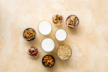 Almond, hazelnut, walnut oat milk in bottles - top view
