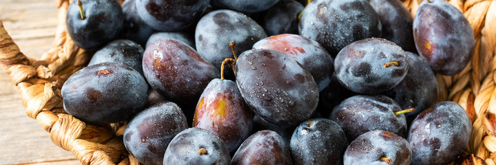 Ripe plum. Lots of plums in a basket on a gray wooden table. Blue plums close-up. Healthy fruits. Banner