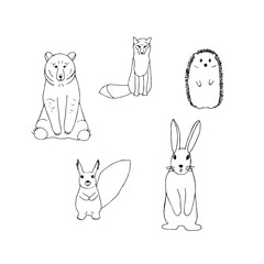 Set of forest animals, vector illustration, bear, fox, hedgehog, squirrel and hare, hand drawing