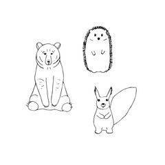 Set of forest animals, vector illustration, bear, hedgehog and squirrel, hand drawing