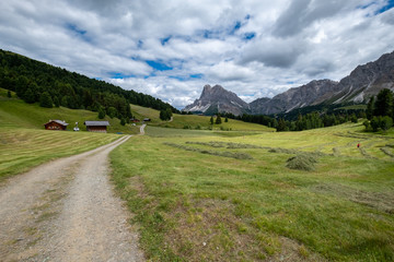 Sentiero tra le Dolomiti