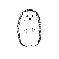 Hedgehog, vector illustration, hand drawing